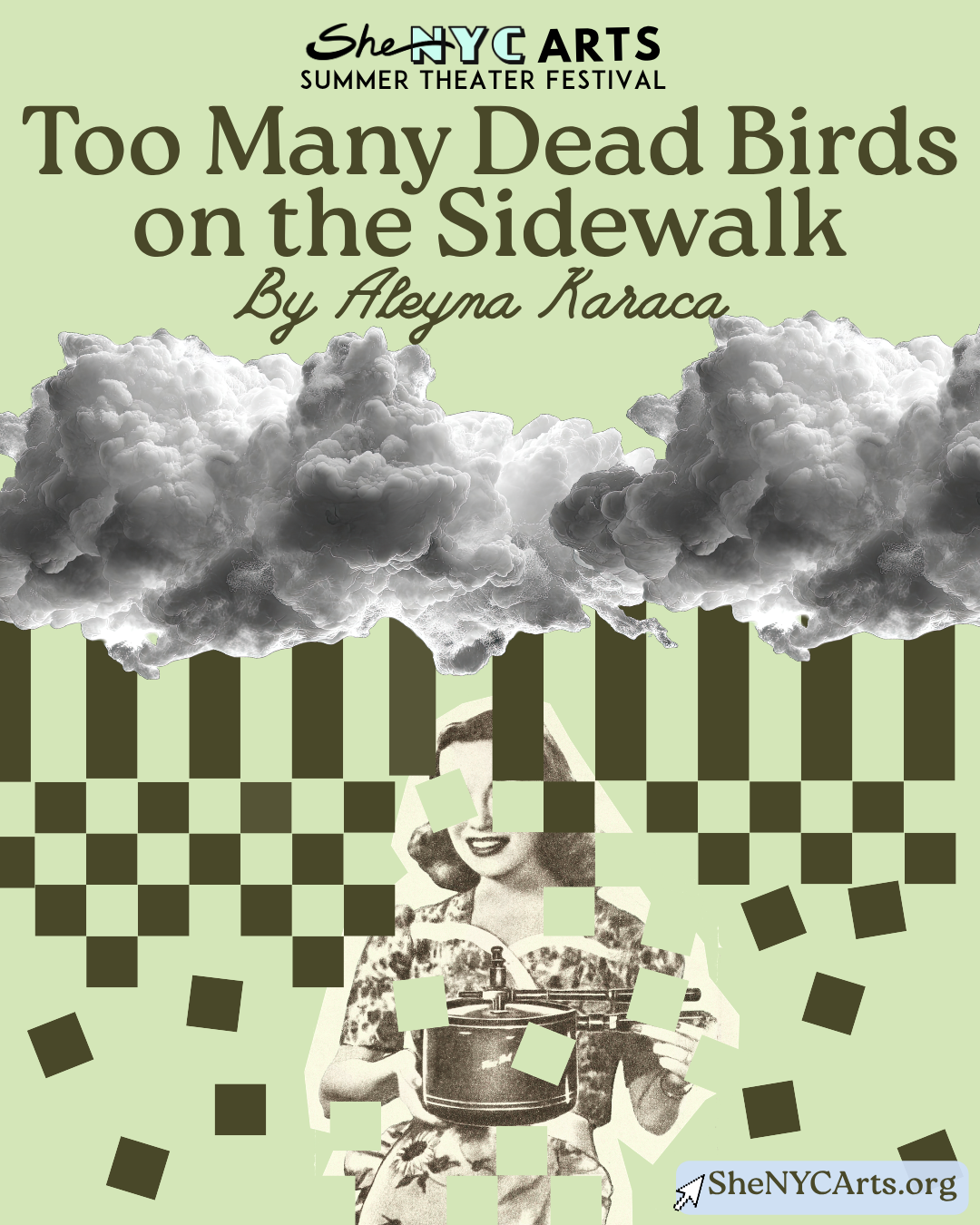 Too Many Dead Birds